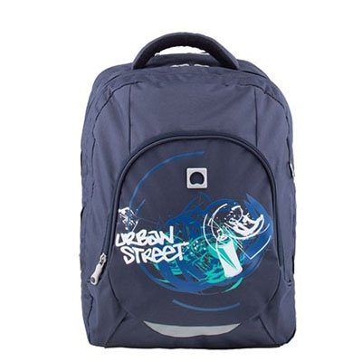 Школьный рюкзак Delsey 339962112 | Bagstore