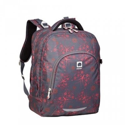 Школьный рюкзак Delsey 339862121 | Bagstore
